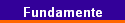 Fundamente